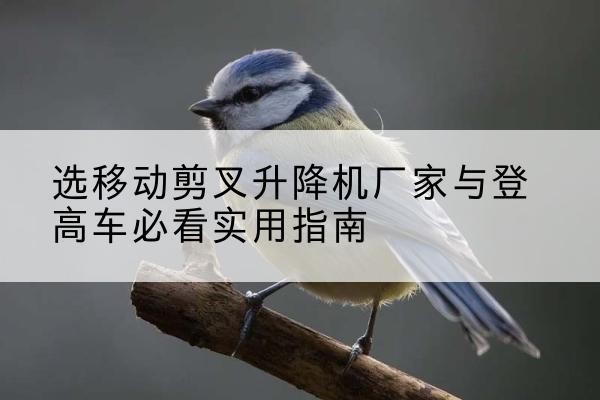 伊春电动升降机厂家-选移动剪叉升降机厂家与登高车必看实用指南
