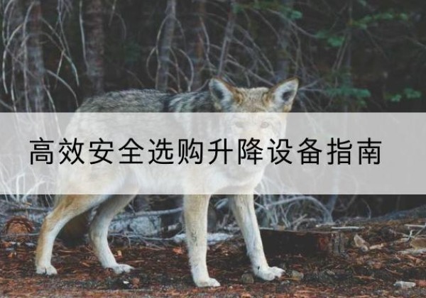伊春升降货梯厂家推荐-*安全选购升降设备指南