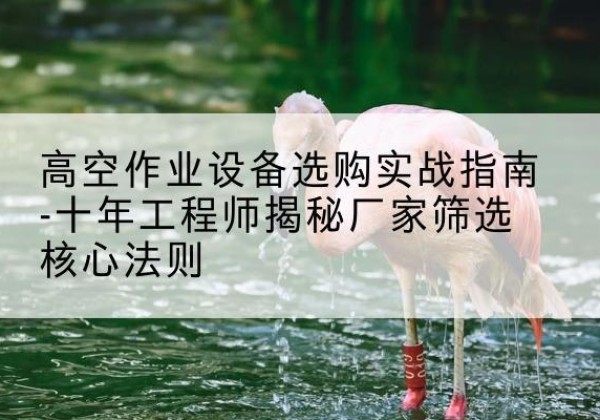 伊春剪叉式升降机厂家-高空作业设备选购实战指南-十年工程师揭秘厂家筛选核心法则